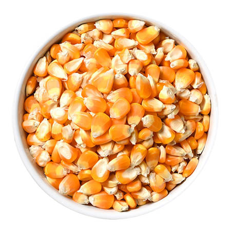 Organics BrandVenture.us